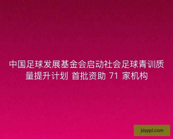中国足球发展基金会启动社会足球青训质量提升计划 首批资助 71 家机构