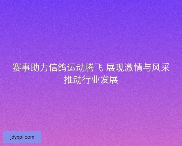 赛事助力信鸽运动腾飞 展现激情与风采推动行业发展